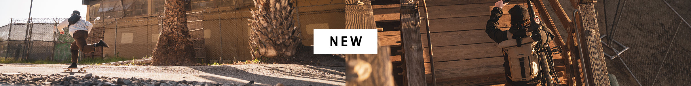 New Arrivals