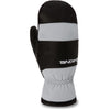 Baron Gore-Tex Mitts - Griffin - Griffin - Men's Snowboard & Ski Mitten | Dakine