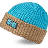 Bonnet Albert - Stone / AI Aqua - Knit Beanie | Dakine