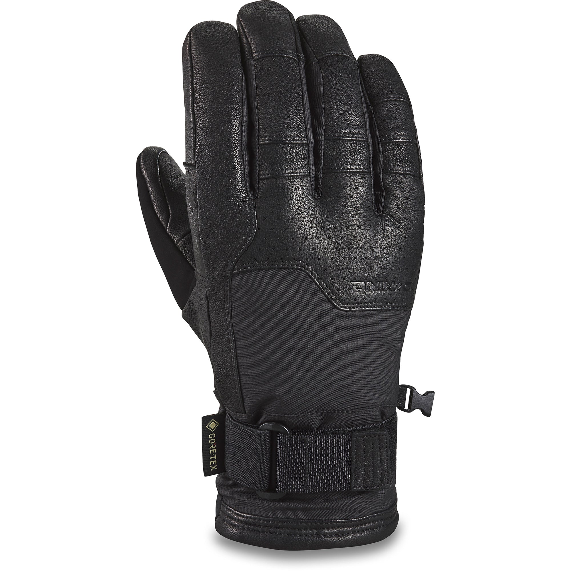 Titan GORE-TEX Mitt – Dakine