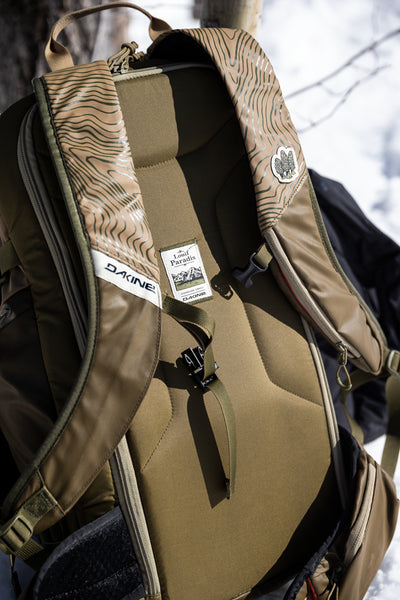 Dakine Team Mission Pro 32L Backpack